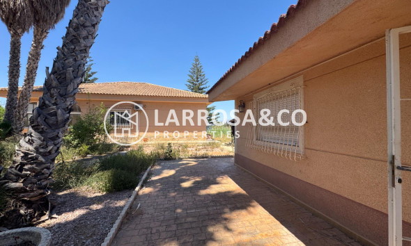 Resale - Country house - Dolores - Comunidad valenciana