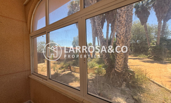 Resale - Country house - Dolores - Comunidad valenciana