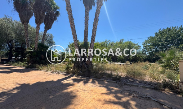 Resale - Country house - Dolores - Comunidad valenciana