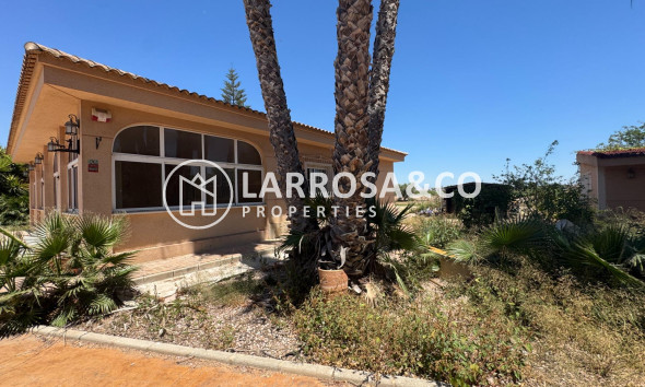 Resale - Country house - Dolores - Comunidad valenciana