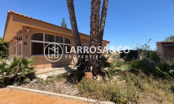 Resale - Country house - Dolores - Comunidad valenciana