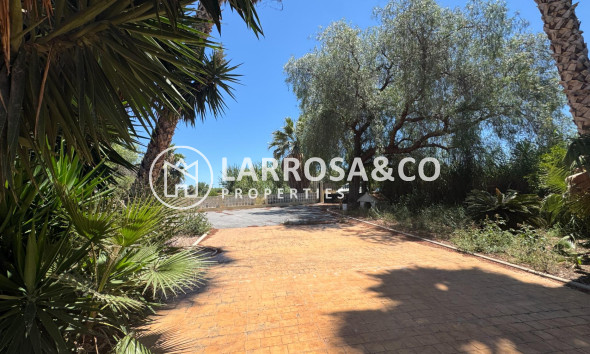 Resale - Country house - Dolores - Comunidad valenciana