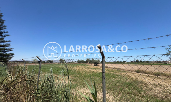 Resale - Country house - Dolores - Comunidad valenciana
