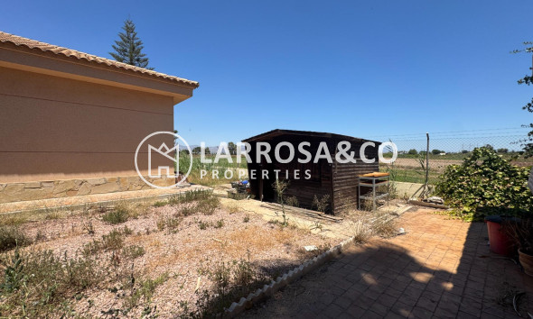 Resale - Country house - Dolores - Comunidad valenciana