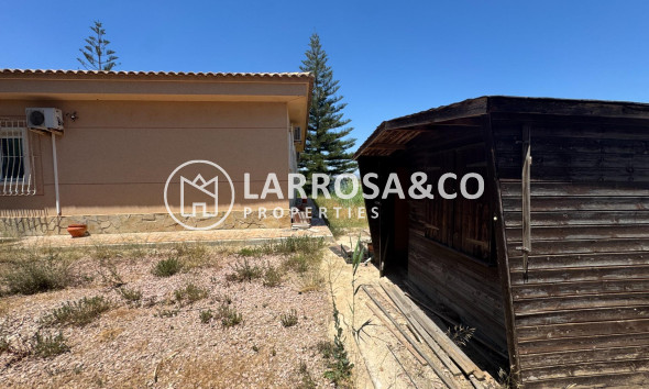 Resale - Country house - Dolores - Comunidad valenciana