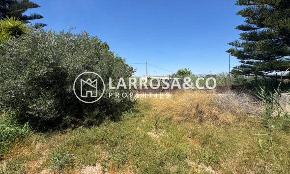 Resale - Country house - Dolores - Comunidad valenciana