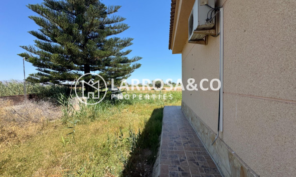 Resale - Country house - Dolores - Comunidad valenciana