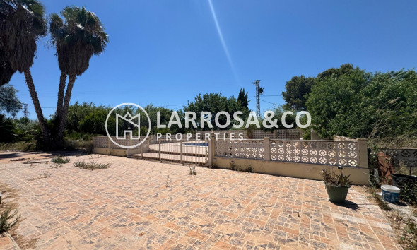 Resale - Country house - Dolores - Comunidad valenciana