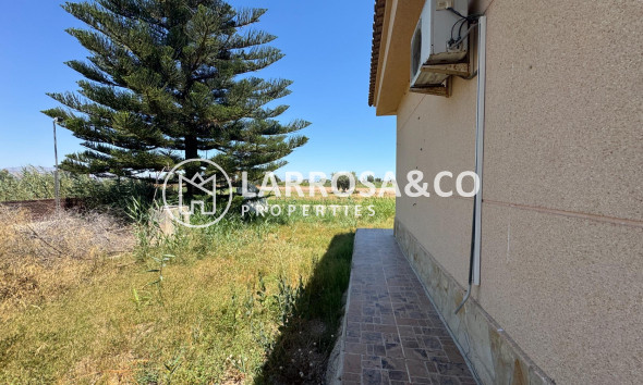 Resale - Country house - Dolores - Comunidad valenciana