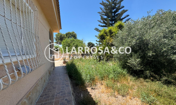 Resale - Country house - Dolores - Comunidad valenciana