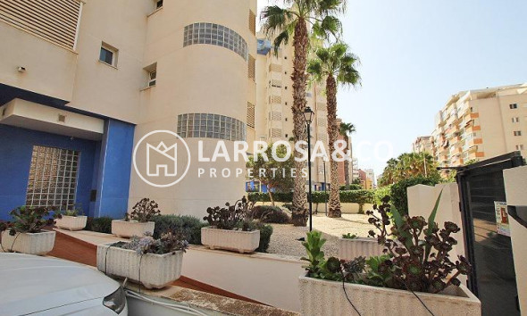 Resale - Apartment - Guardamar del Segura - Avenida del Puerto