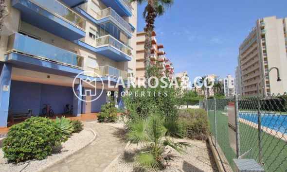 Resale - Apartment - Guardamar del Segura - Avenida del Puerto