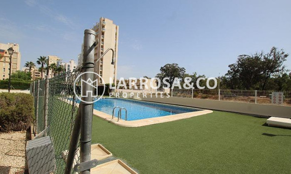 Resale - Apartment - Guardamar del Segura - Avenida del Puerto