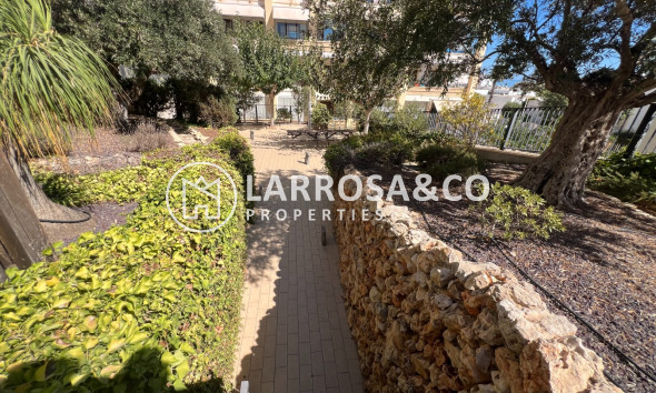 Resale - Apartment - Guardamar del Segura - Los Secanos