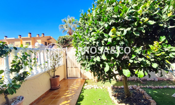 Resale - Apartment - Cabo Roig - Costa blanca