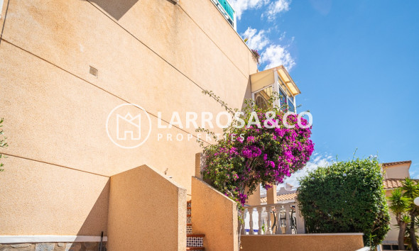 Resale - Apartment - Alicante - Costa Blanca