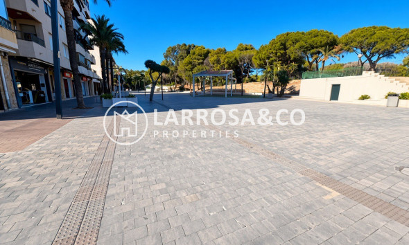 Вторичный рынок - Квартира - Гуардамар дель Сегура - Avenida los pinos