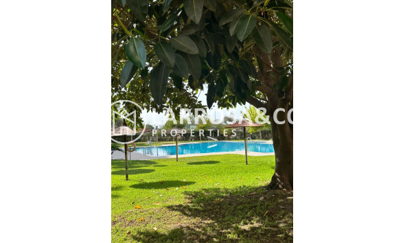 Herverkoop - Apartment - Guardamar del Segura - Avenida del Puerto