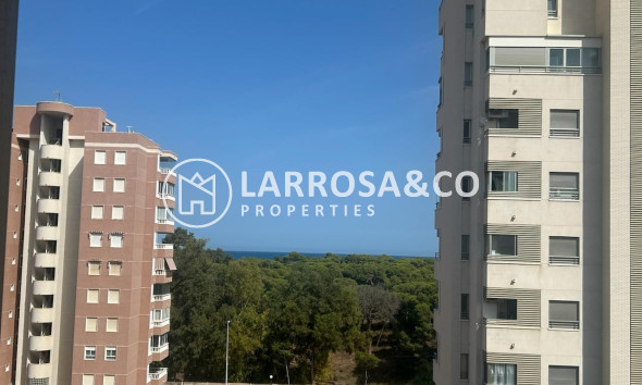 Herverkoop - Apartment - Guardamar del Segura - Avenida del Puerto