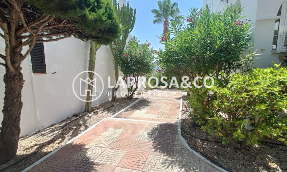 Herverkoop - Apartment - Ciudad Quesada - Costa Blanca