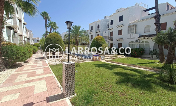 Herverkoop - Apartment - Ciudad Quesada - Costa Blanca