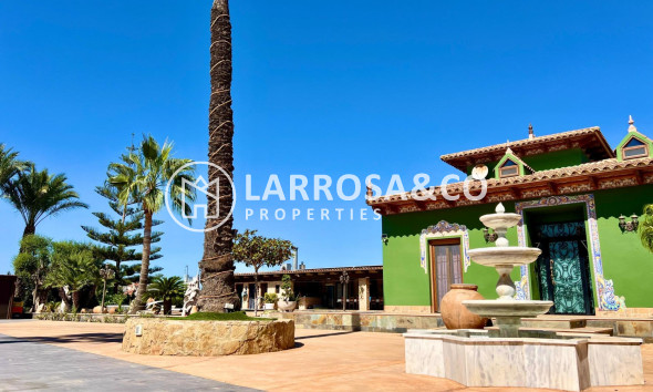 Resale - Detached House/Villa - Almoradí - Comunidad valenciana