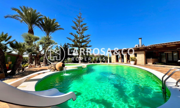 Resale - Detached House/Villa - Almoradí - Comunidad valenciana