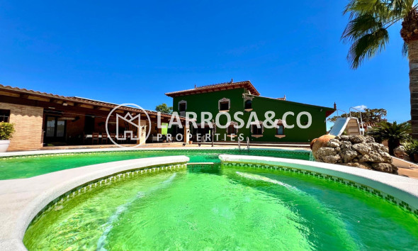 Resale - Detached House/Villa - Almoradí - Comunidad valenciana