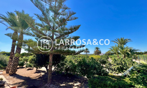 Resale - Detached House/Villa - Almoradí - Comunidad valenciana