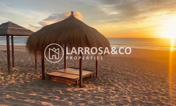 A Vendre - Apartment - Guardamar del Segura - Centro