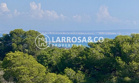 New build - Apartment - Guardamar del Segura - Centro
