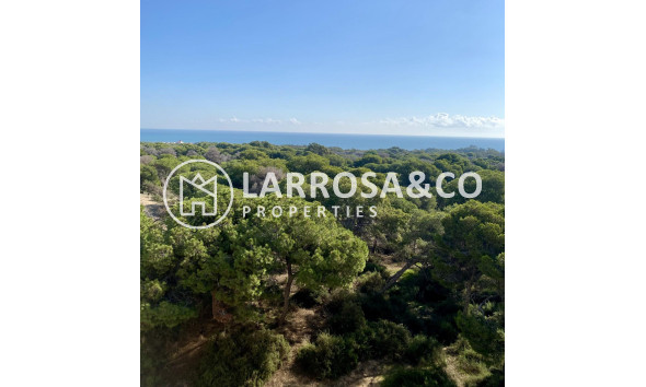 New build - Penthouse  - Guardamar del Segura - Centro