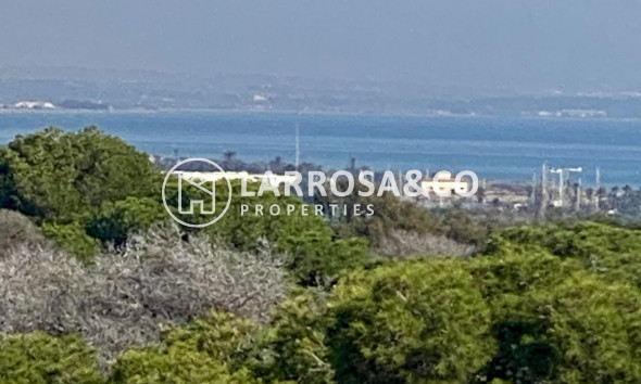 New build - Penthouse  - Guardamar del Segura - Centro