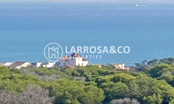 New build - Penthouse  - Guardamar del Segura - Centro