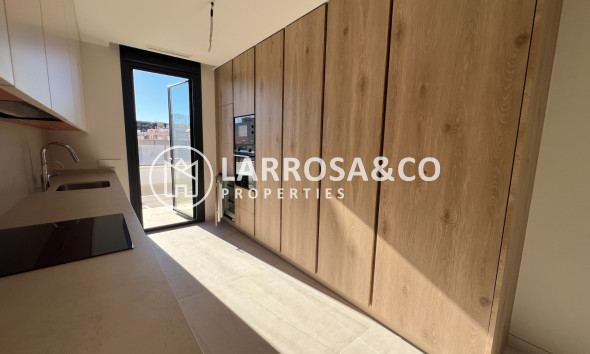 New build - Penthouse  - Guardamar del Segura - Centro