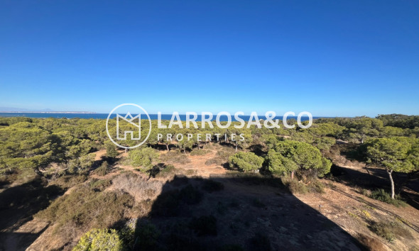 Nouvelle Construction - Penthouse  - Guardamar del Segura - Centro