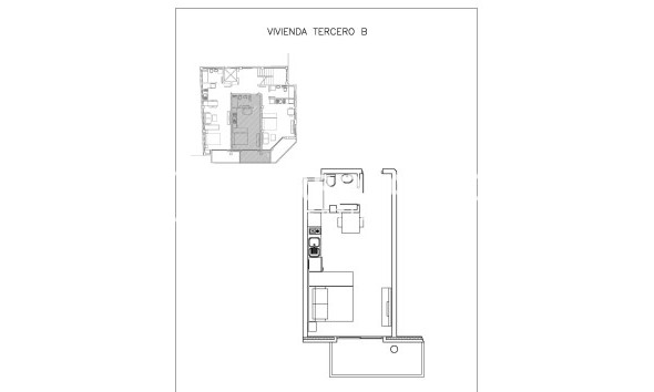 Obra Nueva - Apartamento - Guardamar del Segura - Centro