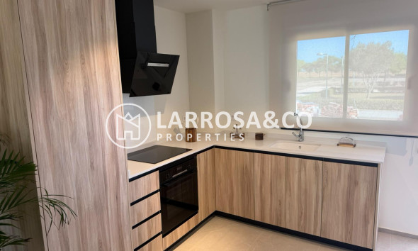 Obra Nueva - Chalet - Pilar de la Horadada - pueblo