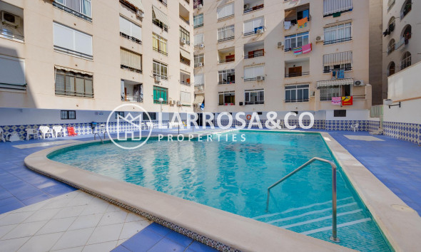 A Vendre - Apartment - Torrevieja - Playa del cura