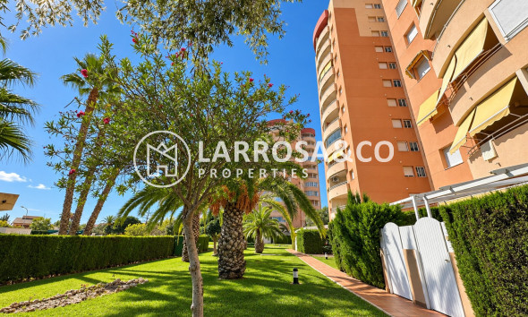 Вторичный рынок - Apartment / Duplex - Ориуела Коста - Campoamor