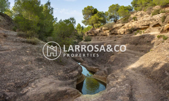 Resale - Detached House/Villa - Algorfa - Inland
