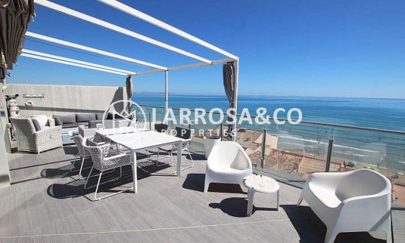 Resale - Penthouse  - Guardamar del Segura - Guardamar Playa