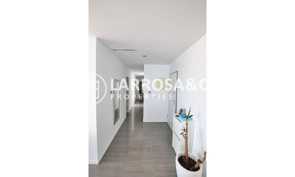 Resale - Penthouse  - Guardamar del Segura - Guardamar Playa