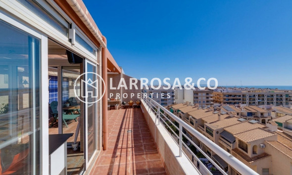 Resale - Penthouse  - Guardamar del Segura - Centro