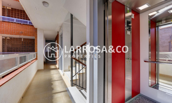 Herverkoop - Apartment - Torrevieja - Playa del Acequión