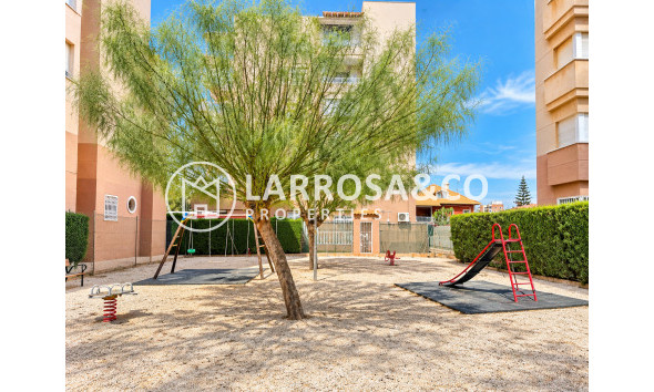 Вторичный рынок - Apartment / Duplex - Торревьеха - torrevieja