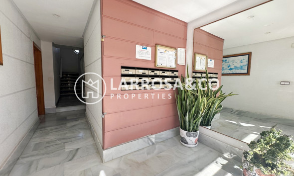 Вторичный рынок - Apartment / Duplex - Торревьеха - torrevieja