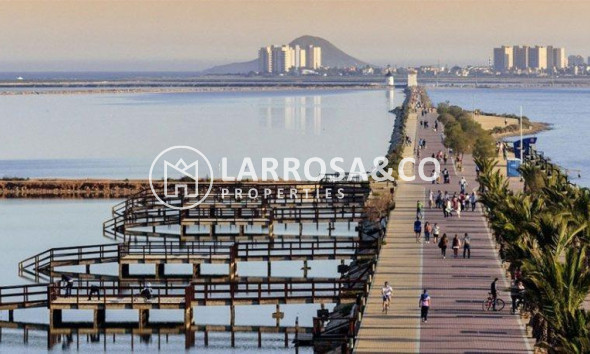 Obra Nueva - Chalet - San Pedro del Pinatar - Centro
