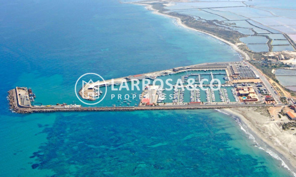 Obra Nueva - Chalet - San Pedro del Pinatar - Centro