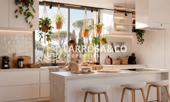 New build - Detached House/Villa - La Romana - Los Joveres